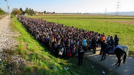 Fin octobre 2015, bloqués par la Hongrie, les migrants passent alors par la Slovénie, l'un des plus petits pays européens, pour rejoindre le nord de l'Europe. En une semaine, plus de 60.000 migrants à bout de force se retrouvent coincés à la frontière croato-slovène. Le chaos s’installe et la tension monte entre les deux pays.  (JURE MAKOVEC)