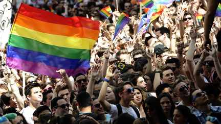 La Lesbian &amp; Gay Pride dans les rues de Lyon (Rh&ocirc;ne), le 14 juin 2014. (MAXPPP)