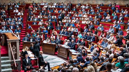 Une séance publique de questions au gouvernement à l'Assemblée nationale, à Paris, le 19 juillet 2022. (XOSE BOUZAS / HANS LUCAS / AFP)