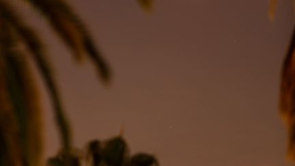 La super Lune de sang au-dessus des palmiers californiens de Los Angeles (USA)
 (Christopher Polk / Getty Images / AFP)