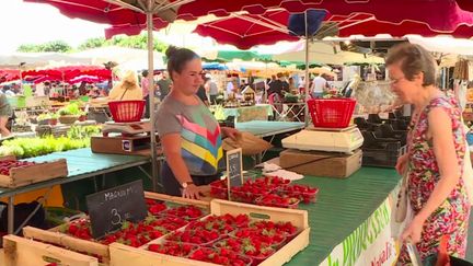 Alimentation : les fraises en abondance cette année