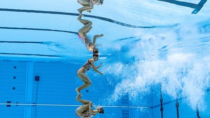 Courte échelle ou illusion d'optique ? On ne se retiendrait pas, la moitié de ce diapo serait consacrée à la natation synchronisée ! (FRANCOIS-XAVIER MARIT / AFP)