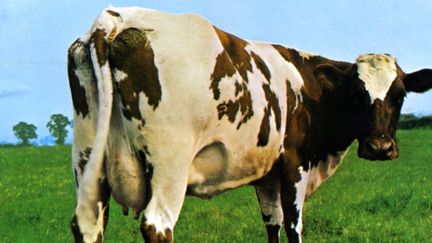 La pochette de l'album Atom Heart Mother
 (Storm Thorgerson )