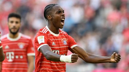 Mathys Tel célèbre son but avec le Bayern Munich contre Mayence, le 29 octobre 2022 en Bundesliga. (CHRISTOF STACHE / AFP)