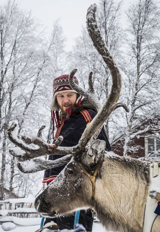 En Finlande, les promenades en traîneau sont très prisées par les touristes. (Géo Dietmar Denger Laif -  Rea)