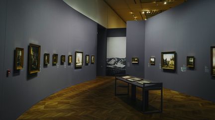 Exposition "L'âge d'or de la peinture danoise (1801-1864) au Petit Palais à Paris.&nbsp; (LUCAS BARIOULET / AFP)