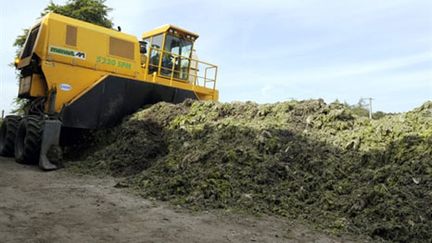 Des engins traitent des algues vertes dans le site de traitement des algues vertes de Lantic, le 19 juillet 2010. (AFP - Damien Meyer)