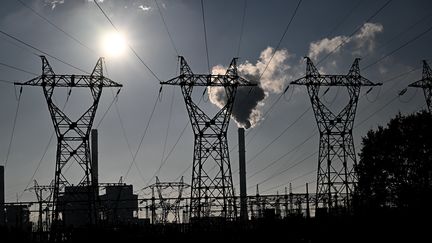 Centrale électrique à Cordemais, en Loire-Atlantique (FRANCK DUBRAY / MAXPPP)