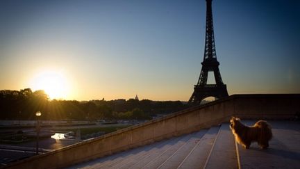 La Tour Eiffel au coucher du soleil, 21 septembre 2010 (AFP/Martin Bureau)