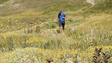 En ce début des vacances de la Toussaint, les équipes de France 2 vous emmènent dans les côtes françaises, où les paysages et spectacles naturels sont à couper le souffle. Immersion dans la chronique "Un jour en France". (France 2)