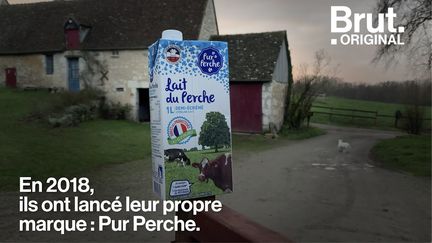 VIDEO. Dans le Perche, ces éleveurs laitiers ont décidé de quitter le système industriel (BRUT)