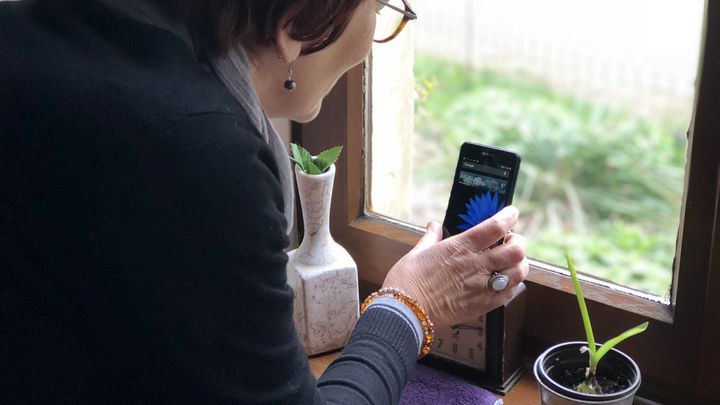 Jocelyne s'approche toujours de la fenêtre du salon pour voir si elle reçoit quelques messages avec le peu de réseau qu'il y a. "Là, je n'ai qu'une barre !", s'exclame-t-elle.&nbsp; (ALIENOR VINCOTTE / FRANCEINFO)