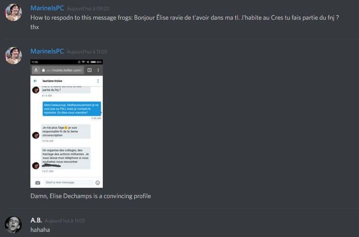 Capture d'écran du chat "La Grande Libération de la France". (THE GREAT LIBERATION OF FRANCE / DISCORD)