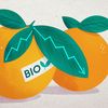 Après plusieurs années de forte croissance, la filière bio en France a enregistré un recul en 2022. (JEREMIE LUCIANI / FRANCEINFO)