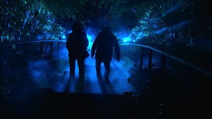 Des visiteurs plongent dans l'univers coloré et intense de Salvador Dali au Parc de la Villette. (France 3)