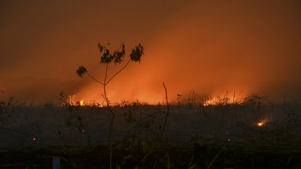 Des incendies en Indonésie, le 9 septembre 2019. (WAHYUDI / AFP)