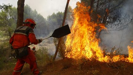 Feux de forêt en Espagne : des habitants d'Alicante en colère 