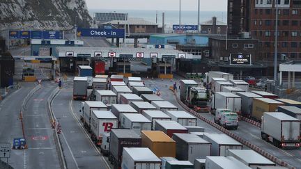 Des camions faisant la queue au port de Douvres sur la côte sud de l'Angleterre, le 19 mars 2018. (DANIEL LEAL-OLIVAS / AFP)