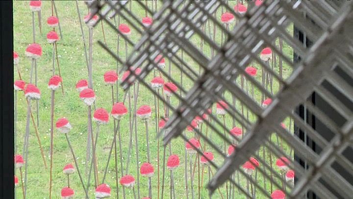 "Les coquelicots" d'Abraham et Nicolas Messager (P. Rousselle / France Télévisions)