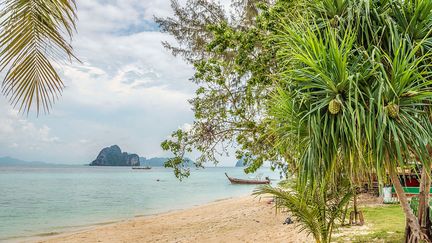 Koh Lanta (Thaïlande)
 (OLAF PROTZE / LIGHTROCKET)