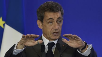 Nicolas Sarkozy lors d'un meeting sur l'Agriculture et le développement rural à Paris, le 3 février 2016. (DOMINIQUE FAGET / AFP)