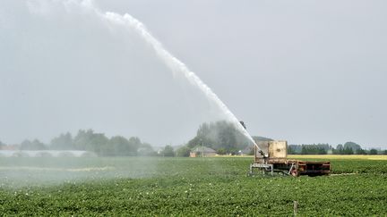 Sécheresse : les agriculteurs s'adaptent