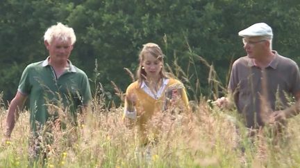 Plus de 150 agriculteurs de l'association "Paysans de nature" multiplient les espaces de biodiversité afin que la vie sauvage réintègre les parcelles. (FRANCEINFO)