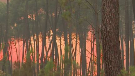 Mardi 9 août, plus de 300 hectares ont brûlé en Gironde, un département déjà sinistré le mois dernier. Les pompiers étaient mobilisés, mais le vent rendait le feu très difficile à maîtriser. (FRANCEINFO)