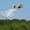 Un Canadair lors d'un exercice au-dessus de Marseille, le 8 juin 2023. (NICOLAS TUCAT / AFP)