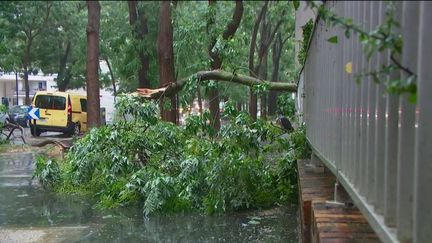 Intempérie : un orage violent et inattendu s'est abattu sur Paris