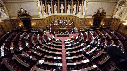 Au S&eacute;nat, lors du d&eacute;bat sur la proposition de loi p&eacute;nalisant la n&eacute;gation des g&eacute;nocides, &agrave; Paris, le 23 janvier 2012. (ERIC FEFERBERG / AFP)