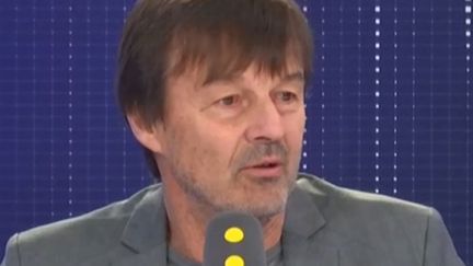 Nicolas Hulot, sur franceinfo, mercredi 29 janvier (FRANCEINFO / RADIOFRANCE)