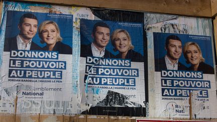 Des affiches de campagne du Rassemblement national, à Paris en février 2019. (RICCARDO MILANI / HANS LUCAS / AFP)