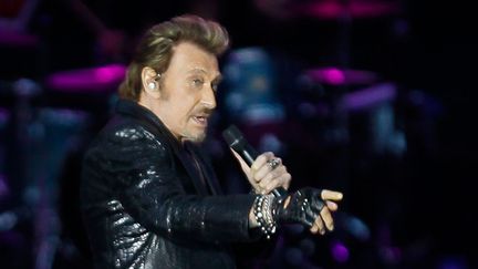 Johnny Hallyday sur scène à Namur en Juin 2013.
 (Bruno Fahy / Belga Mag /AFP)