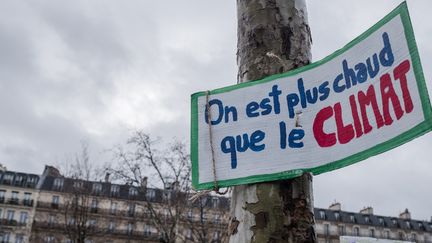 Une pancarte accrochée sur un arbre de la&nbsp;place de la République, à Paris, le 27 janvier 2019. (BENJAMIN FILARSKI / HANS LUCAS)