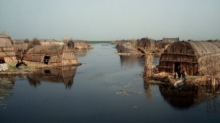 Les maisons peuvent être plus ou moins regroupées en fonction des îles et des canaux naturels qui irriguent le marais. Elles apparaissent comme des arches de Noé retournées (photo non datée). A en croire l'image de ces villages, les constructions et le paysage n'ont pas changé depuis le récit qu'en a fait l'Anglais Wilfred Thésiger sans son livre «Les Arabes des marais» dans les années 50 (Editions Plon, Terre Humaine). (SCHOLZ / DPA)