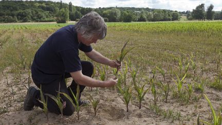 Dans la Vienne, 65 millions de mètres cubes d'eau servent pour l'irrigation chaque année. (CHRISTIAN WATIER / MAXPPP)