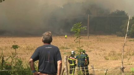 Incendies : Maine-et-Loire, Lozère, Isère, Morbihan... La France en proie aux feux (France 3)