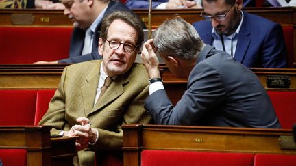 Gilles Le Gendre, lors d'une séance de questions au gouvernement le 24 octobre 2018. (THOMAS PADILLA / MAXPPP)