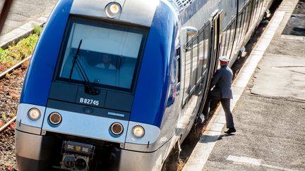 Un contr&ocirc;leur SNCF monte &agrave; bord d'un TER &agrave; Hazebrouck (Nord), le 22 mai 2014. (PHILIPPE HUGUEN / AFP)