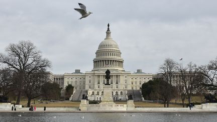 Le Capitole, où siègle le Sénat américain à Washington DC. (MANDEL NGAN / AFP)