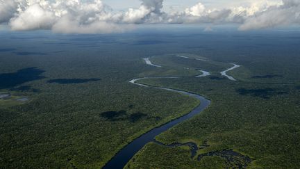 Vue aérienne de la forêt amazonienne, entre les villes de Manicore et Manaus, au Brésil. (MAURO PIMENTEL / AFP)