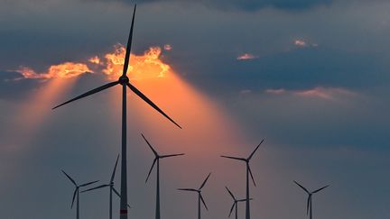 Des éoliennes à Brandenburg (Allemagne) le 13 juillet 2022. (PATRICK PLEUL / DPA / AFP)