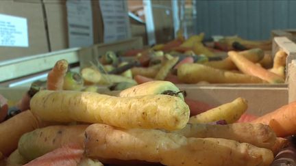 Agriculture : une entreprise sauve les fruits et légumes de la destruction