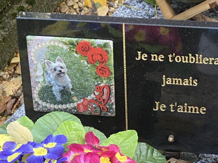 La tombe d'un chien au cimetière animalier d'Asnières-sur-Seine (Hauts-de-Seine) (Morgane Heuclin-Reffait / RADIOFRANCE)