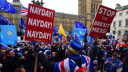 Des opposants au Brexit manifestent devant le parlement britannique à Westminster, le 6 avril 2019. (VICTORIA JONES / MAXPPP)