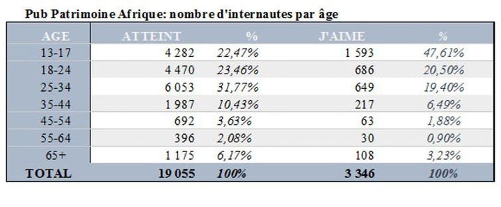 Patrimoine Afrique : nombre d’internautes par âge. 

	
		  (K. Dieng)