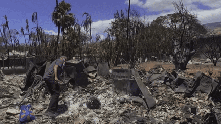 Incendie à Hawaï : comment expliquer un tel fiasco ? (France 3)