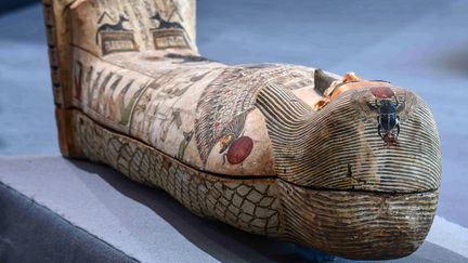 L'un des sarcophages découvert à Saqqara (Egypte),le 14 novembre 2020. (AHMED HASAN / AFP)