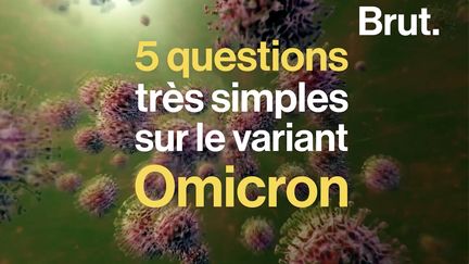 VIDEO. 5 questions très simples sur le variant Omicron (BRUT)